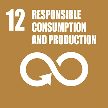 Responsible Consumption Production