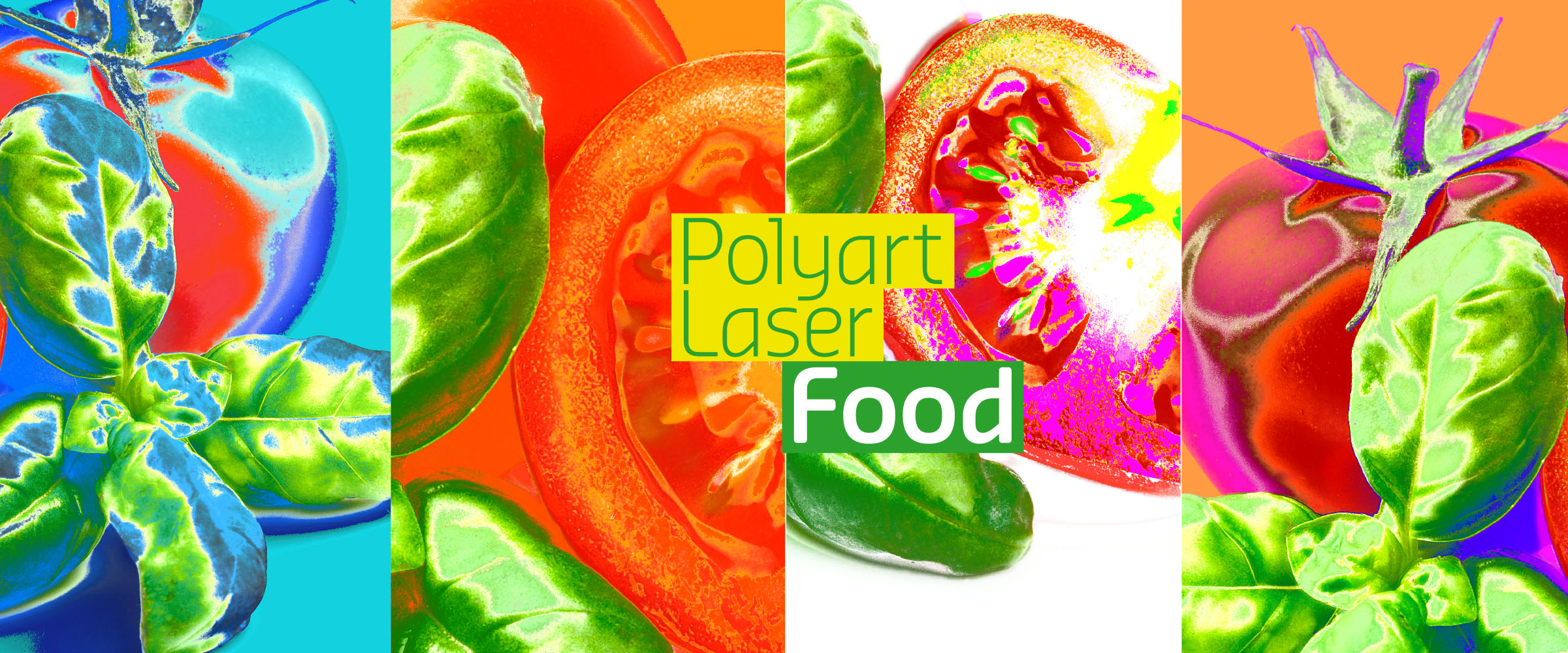 Home - Polyart