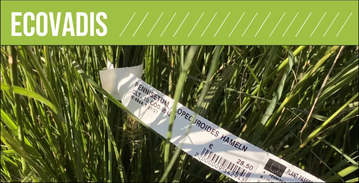 Ecovadis – Polyart